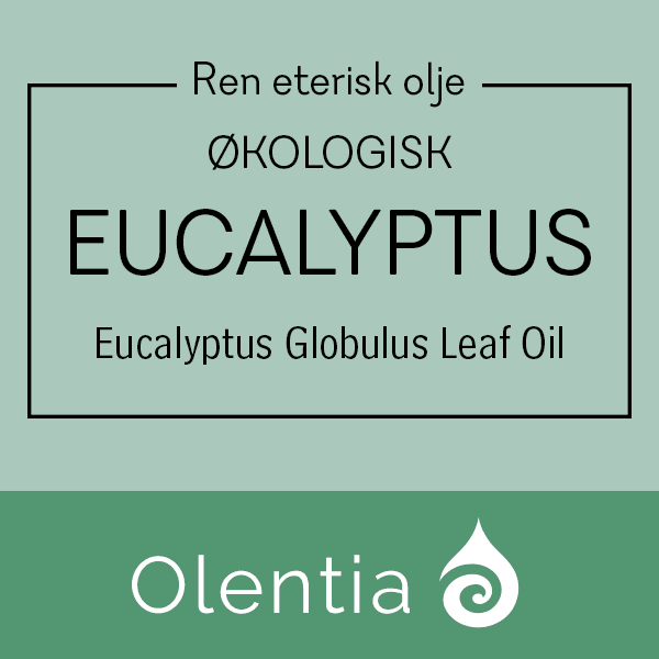 EUCALYPTUS - Eucalyptus Globulus Leaf Oil