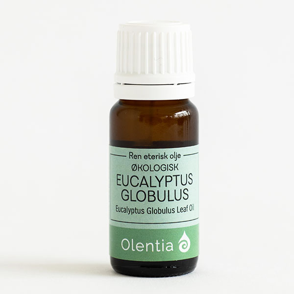 EUCALYPTUS CITRIODORA - flaske