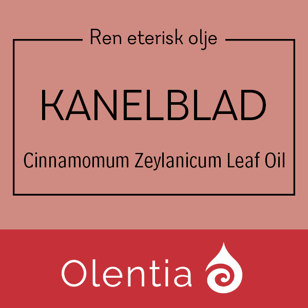 KANELBLAD - Cinnamomum Zeylanicum Leaf Oil