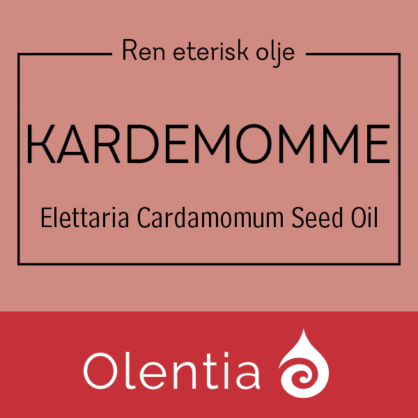 KARDEMOMME - Elettaria Cardamomum Seed Oil