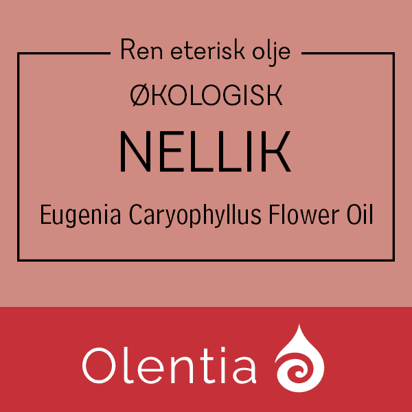 NELLIK - Eugenia Caryophyllus Flower Oil