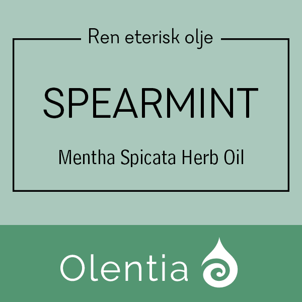 SPEARMINT - Mentha Spicata Herb Oil