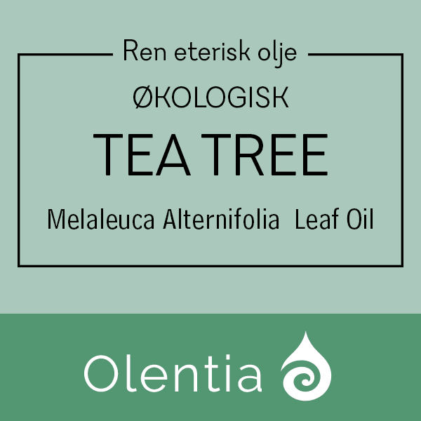 TEA TREE - Melaleuca Alternifolia Leaf Oil