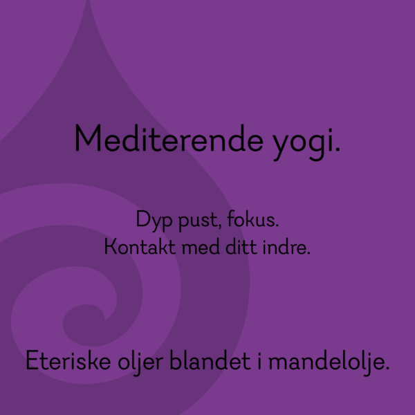 Mediterende yogi.