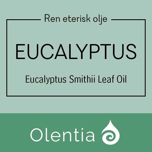 EUCALYPTUS - Eucalyptus Smithii Leaf Oil