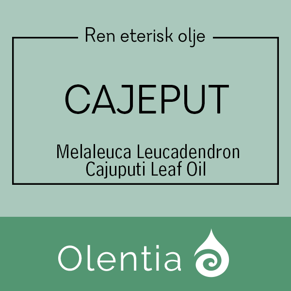 CAJEPUT - Melaleuca Leucadendron Cajuputi Leaf Oil