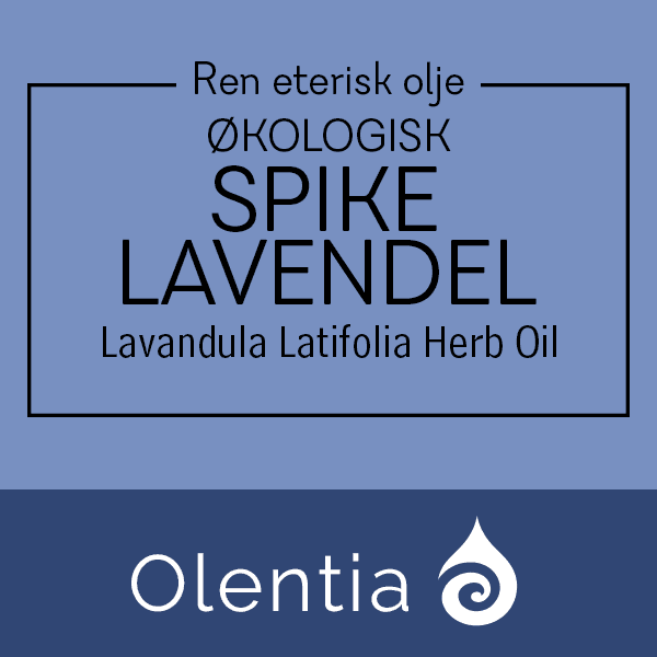 SPIKE LAVENDEL - Lavandula Latifolia Herb Oil