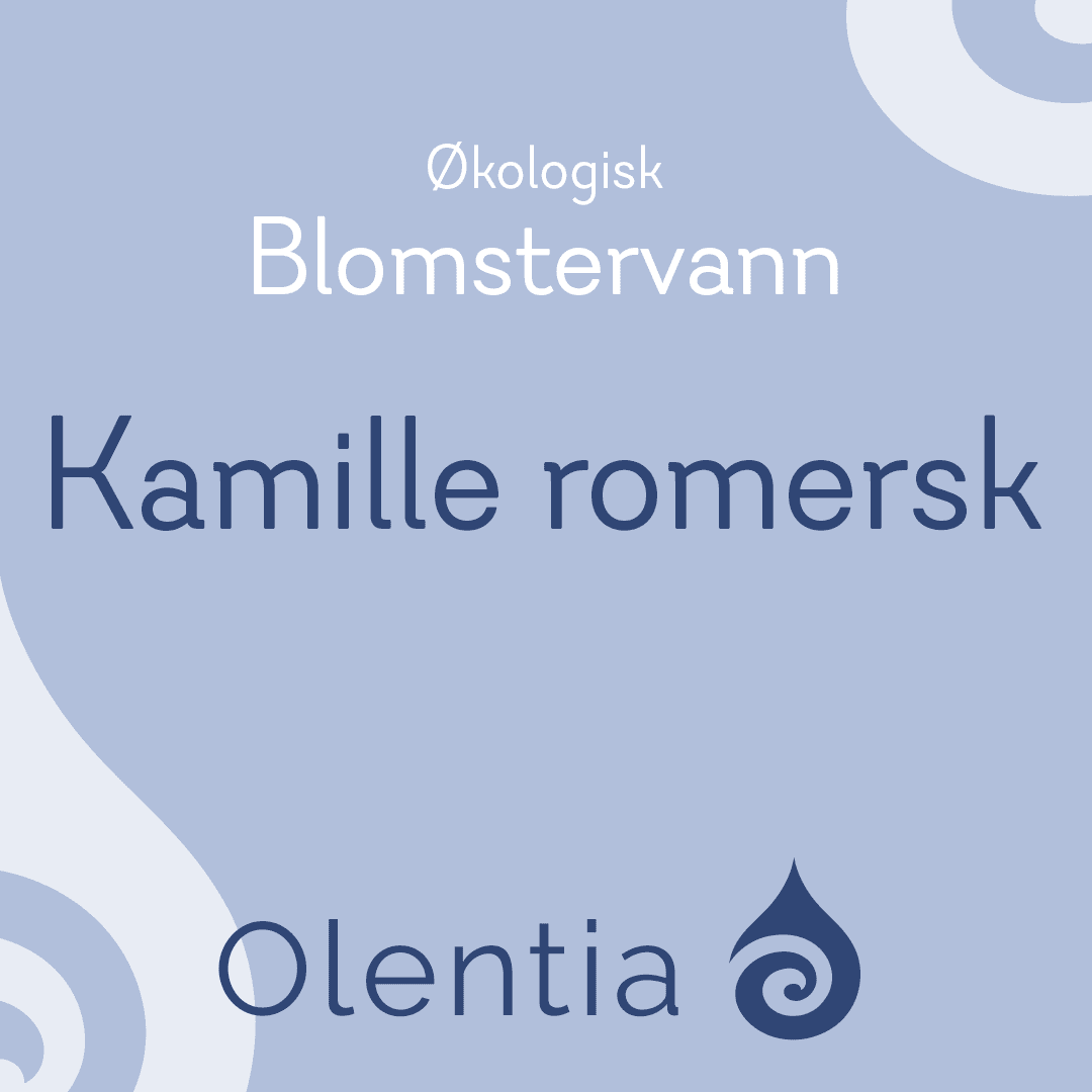 Kamille romersk blomstervann
