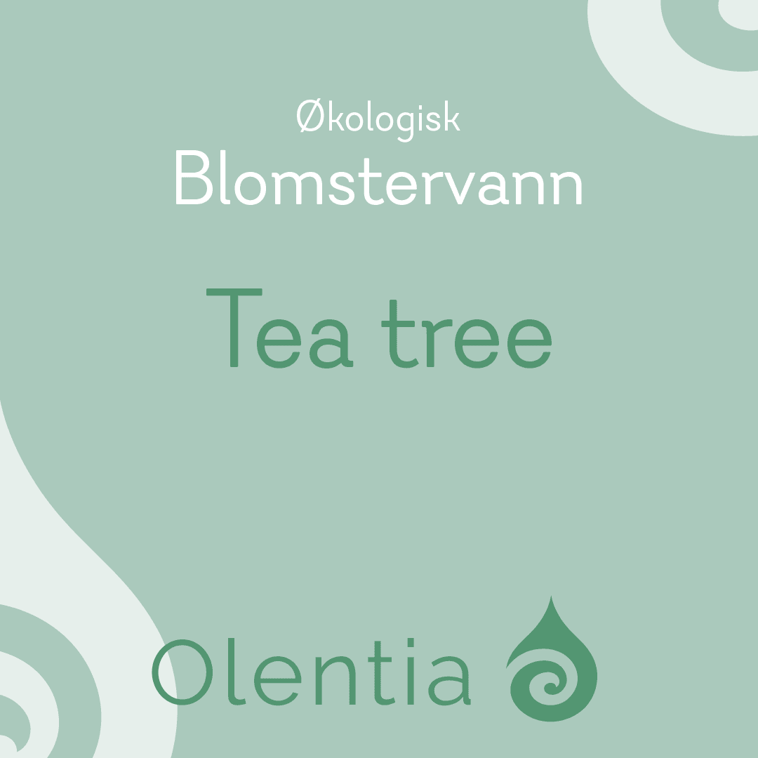 Tea tree blomstervann