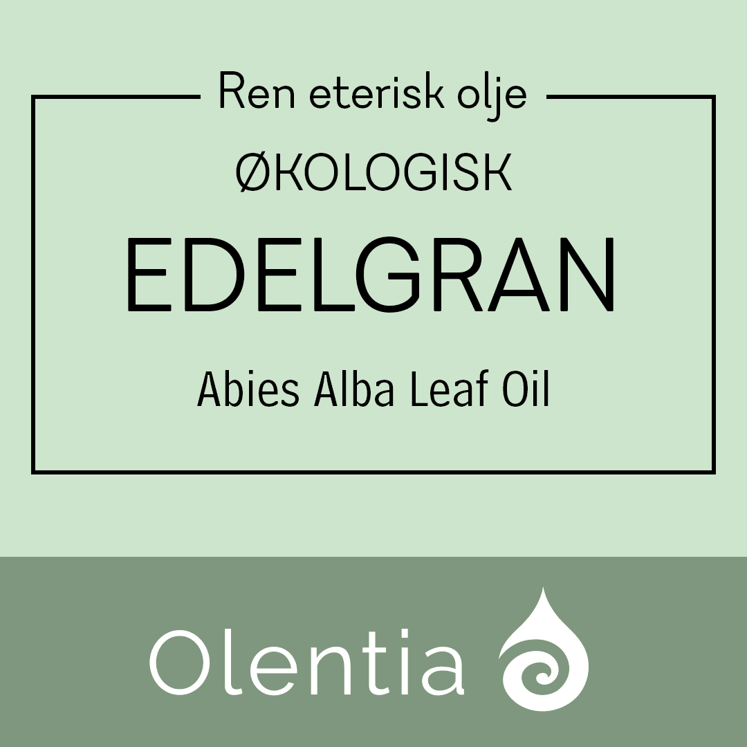 Edelgran-eterisk olje-økologisk
