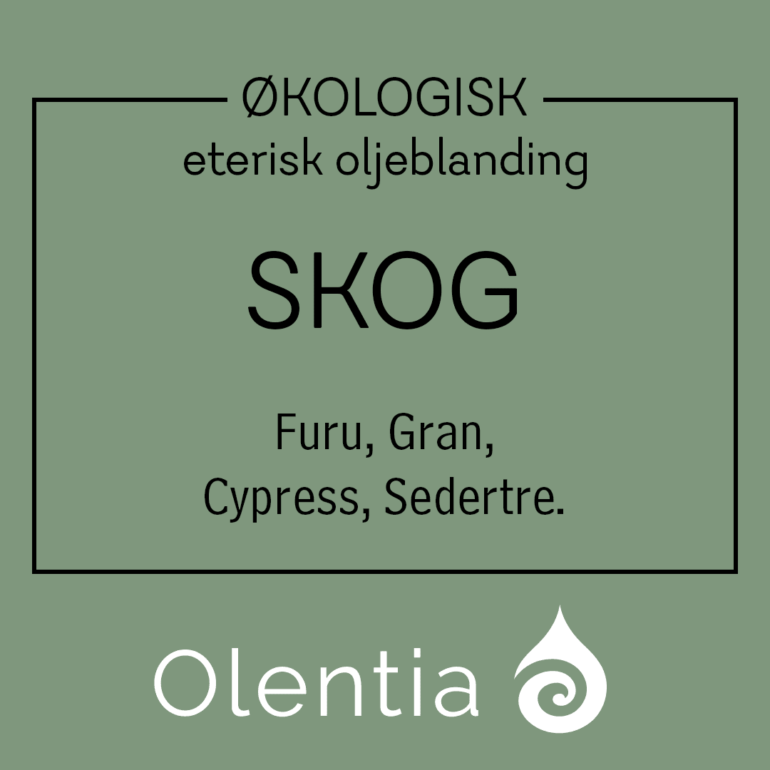 Eterisk oljeblanding SKOG