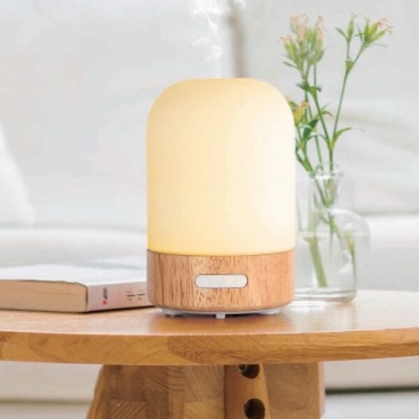 OLENTIA Aromadiffuser