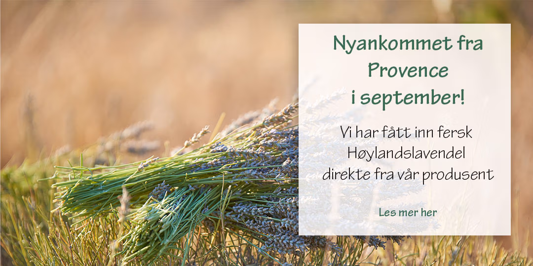 Nyankommet Høylandslavendel eterisk olje.