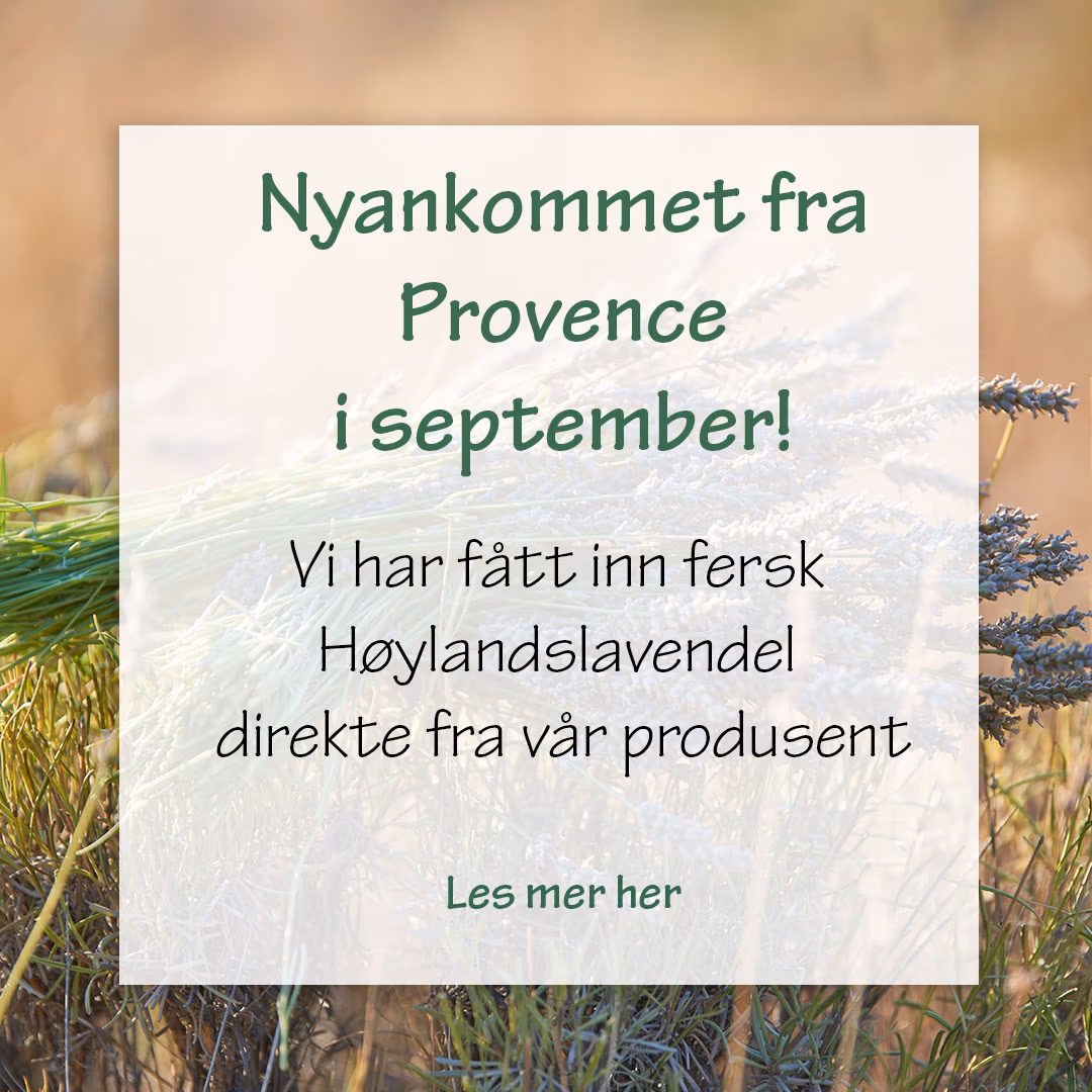 Nyankommet Høylandslavendel eterisk olje.