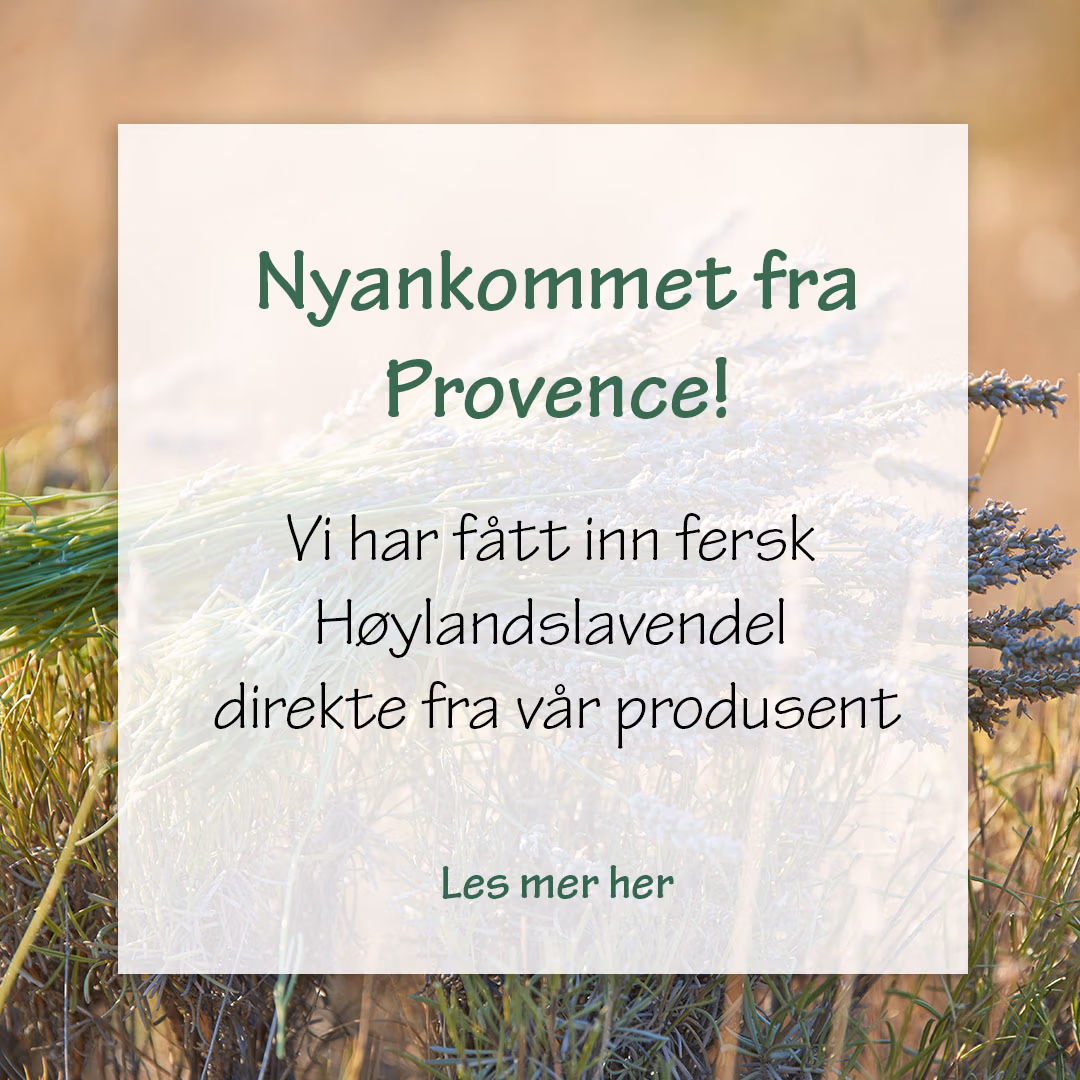 Nyankommet Høylandslavendel eterisk olje.